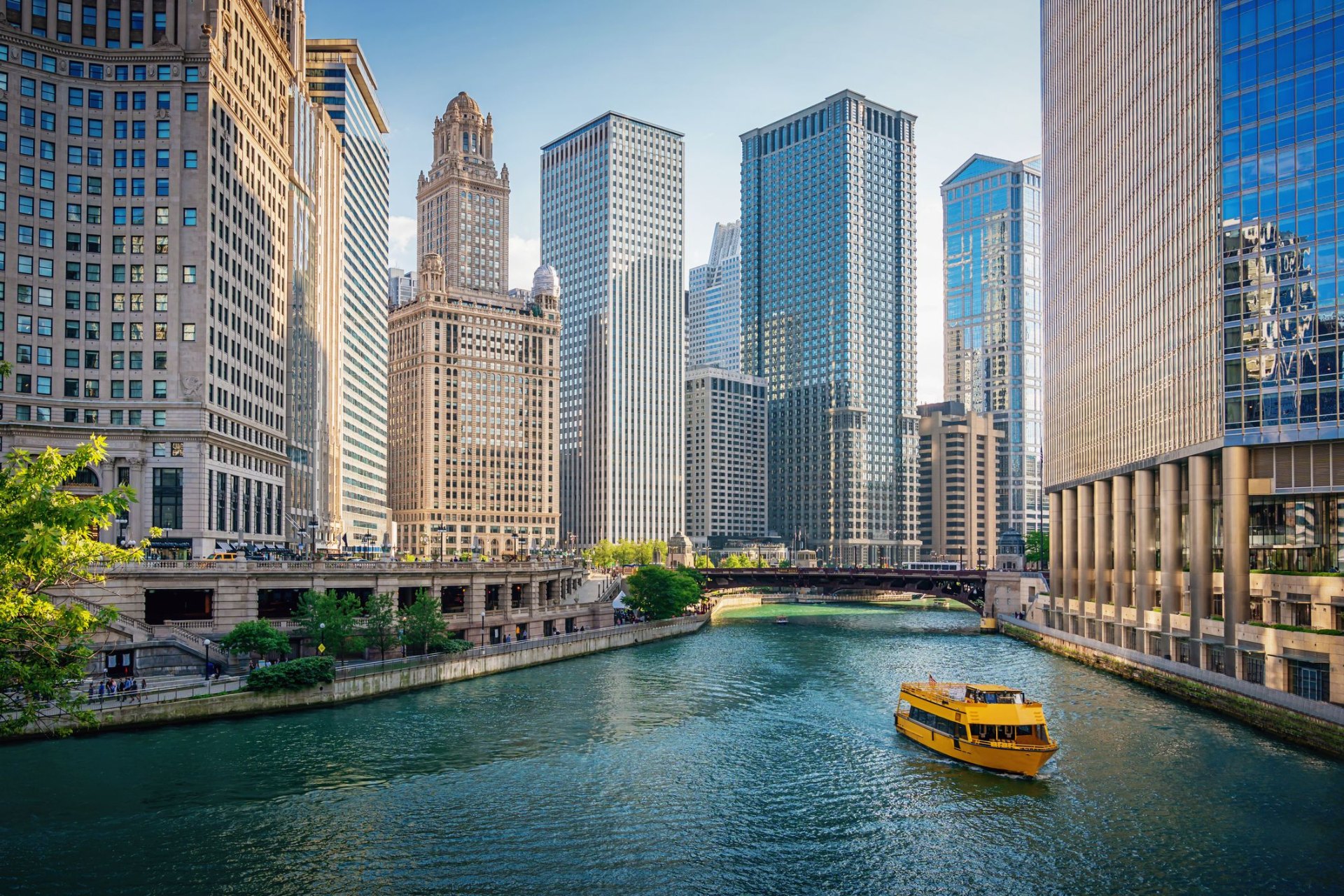Cash home buyers in Chicago Illinois — Skip The Agent LLC